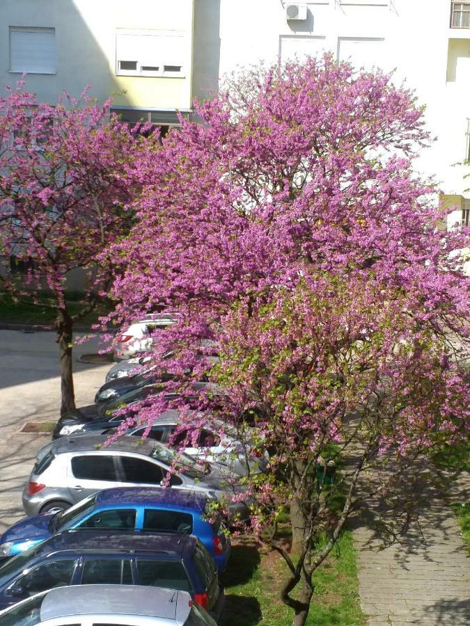 Apartman Simple Mostar Exteriér fotografie